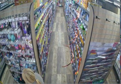 premier_the_brittania Cam 7