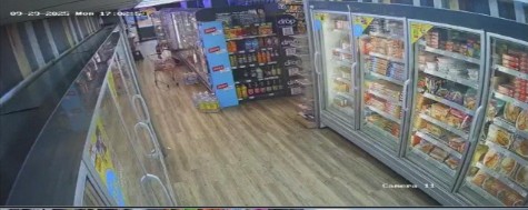 premierteynham Cam 7